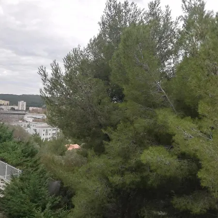 Saint Roch Martigues